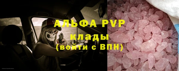 бошки Каменногорск