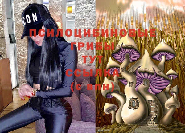 ALPHA PVP Каменка