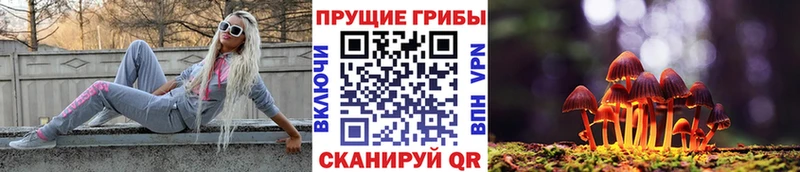 Галлюциногенные грибы мицелий  Купить где  Воркута 